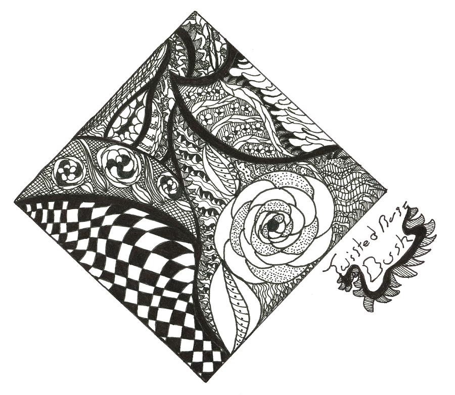 900x782 twisted rose bush drawing - Rose Bush Drawing