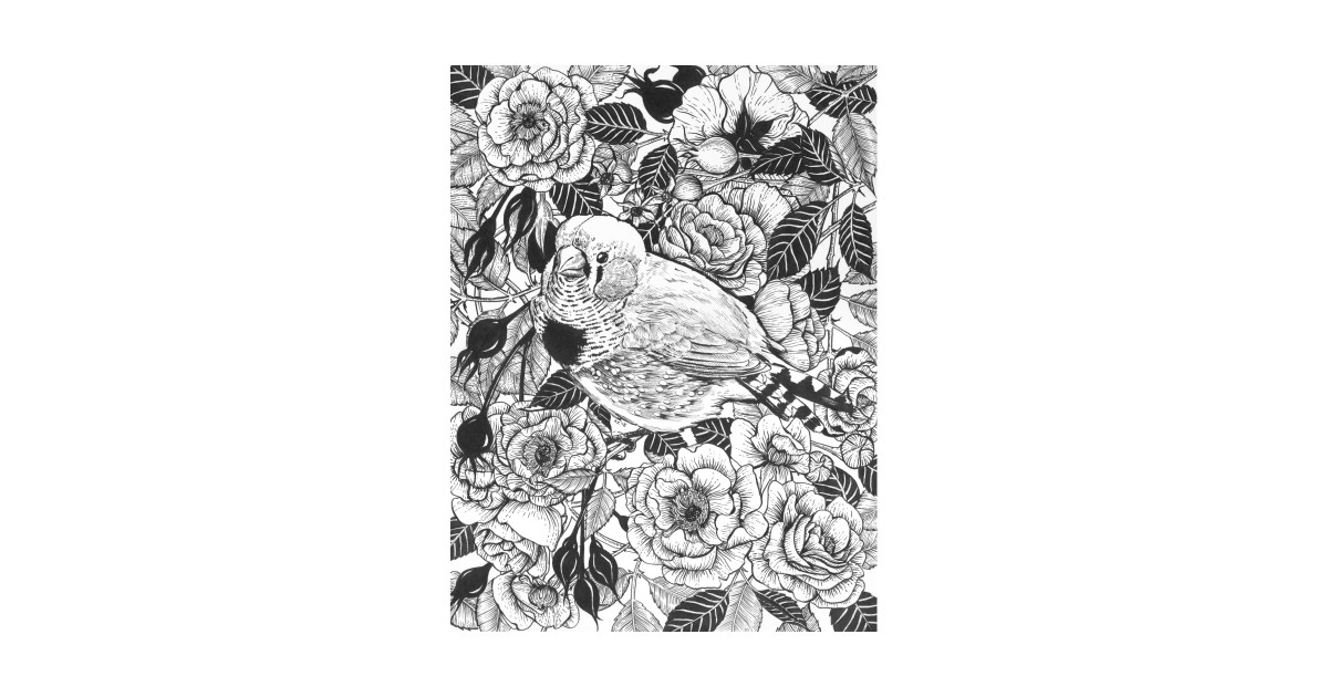 1200x630 zebra finch and rose bush ink drawing - Rose Bush Drawing