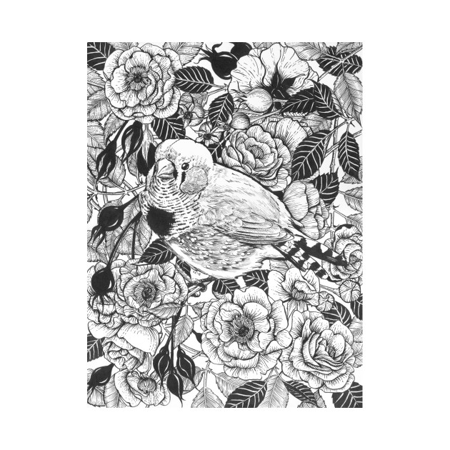630x630 zebra finch and rose bush ink drawing - Rose Bush Drawing