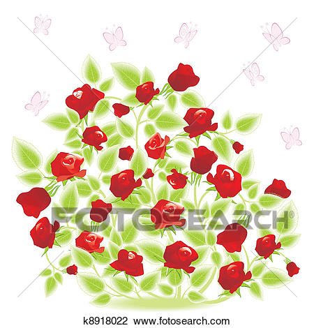 450x470 Huge Collection Of 'rosebush Drawing' Download More Than - Rose Bush Drawing