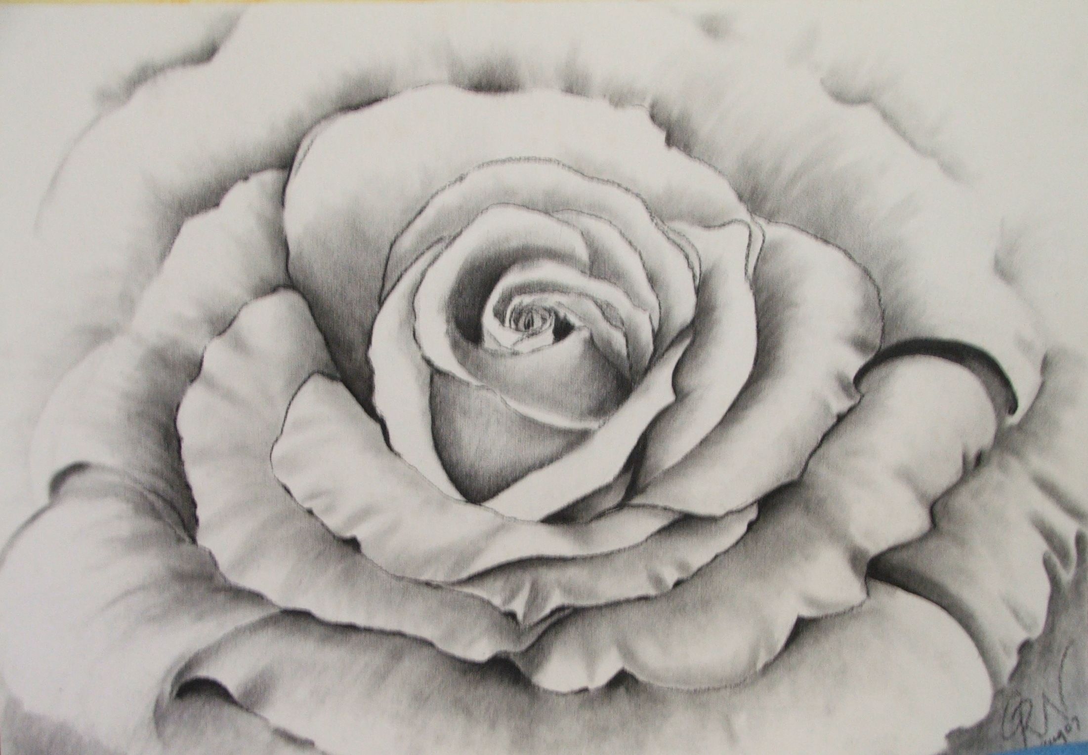 2202x1529 how to draw roses using charcoal rose - Rose Charcoal Drawing