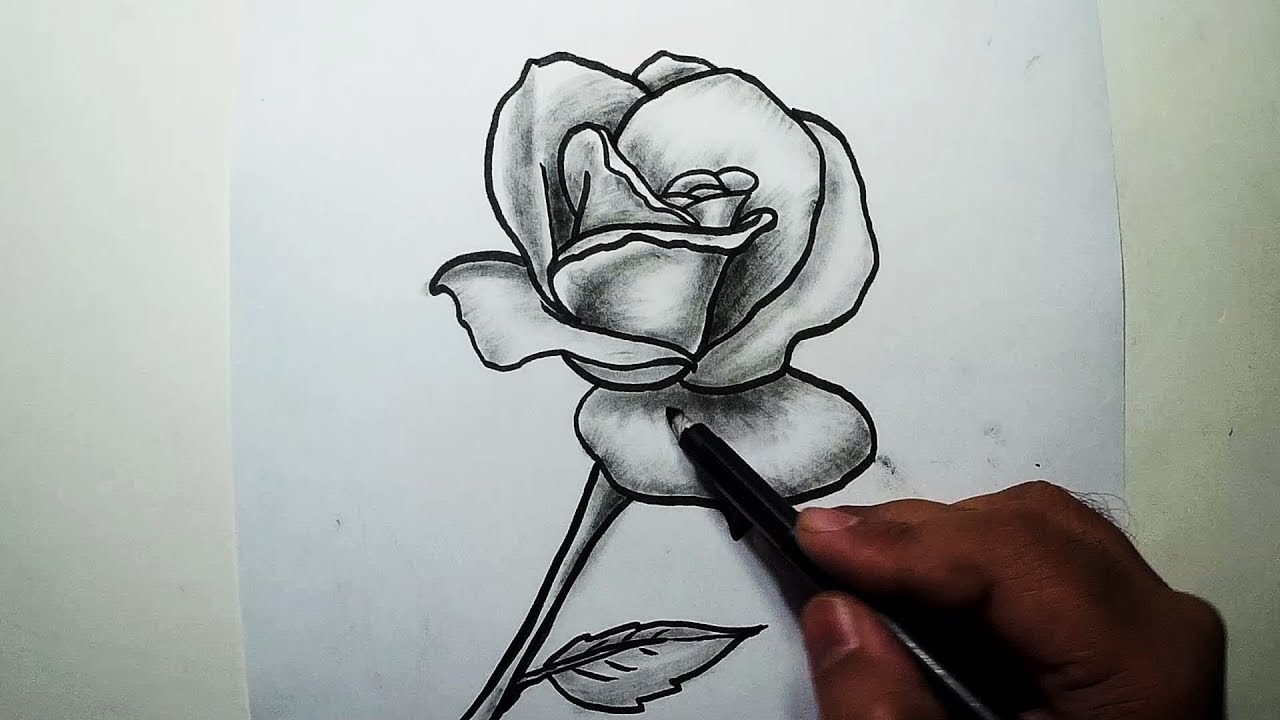 1280x720 how to draw a rose charcoal drawing and shading - Rose Charcoal Drawing