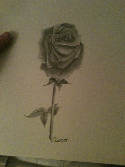 478x640 How To Draw A Rose - Rose Charcoal Drawing