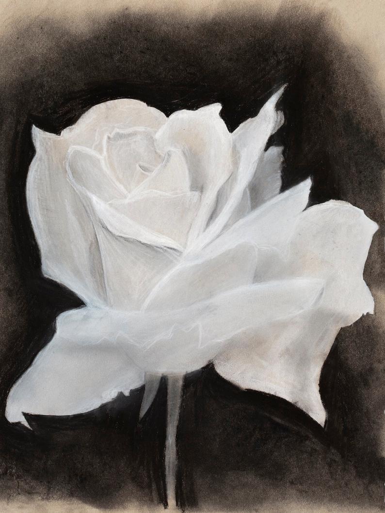 794x1059 Rose Charcoal Drawing Fine Art Print Etsy - Rose Charcoal Drawing