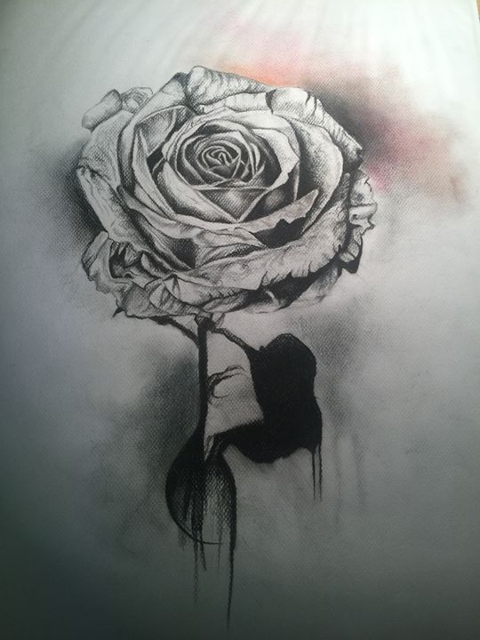 Rose Charcoal Drawing at Explore collection of