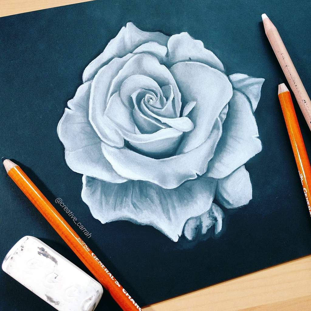 Rose Charcoal Drawing at Explore collection of