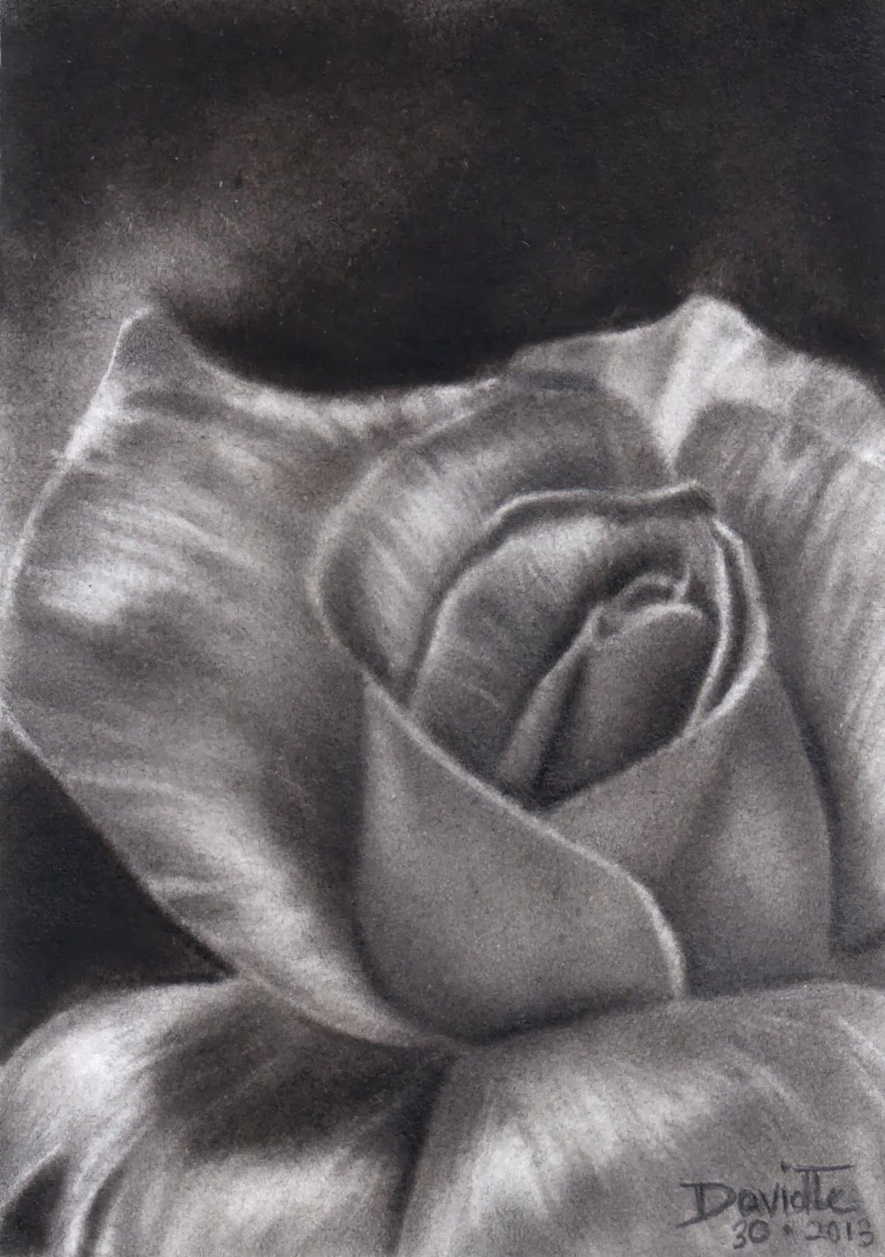1000x1420 Charcoal Flower Drawings - Rose Charcoal Drawing