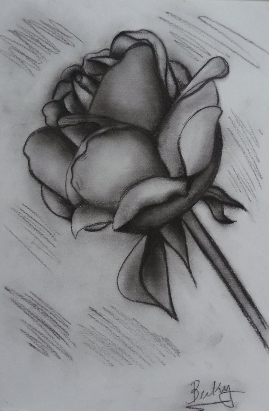 900x1376 beautiful collection of charcoal drawings, art ideas design - Rose Charcoal Drawing