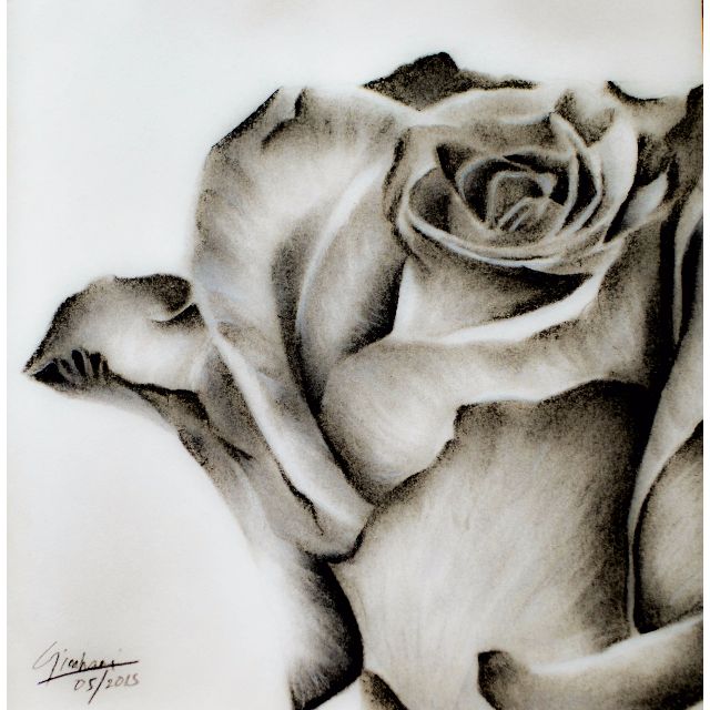 charcoal simple pencil rose drawing