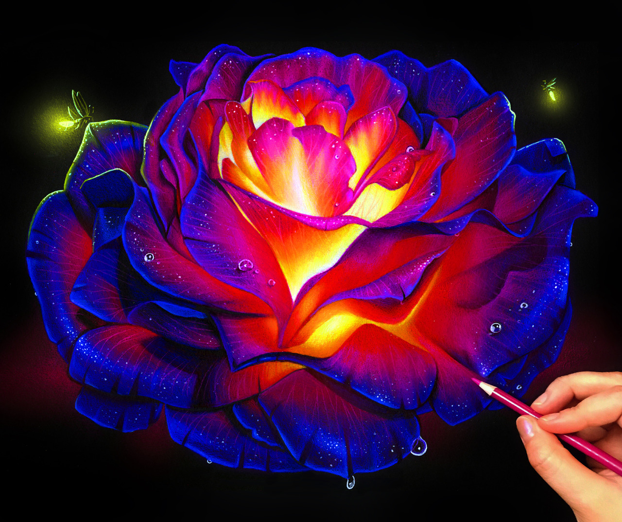 1280x1074 Morgan Davidson Illustration Glowing Rose Colored Pencil Drawing! - Rose Color Pencil Drawing