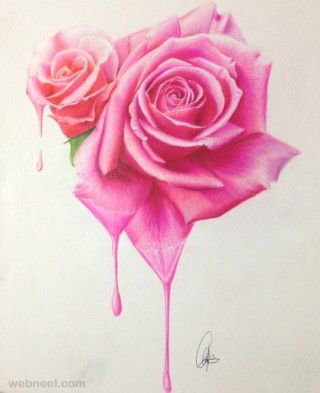 320x393 Beautiful Rose Drawings And Paintings For Your Inspiration - Rose Color Pencil Drawing