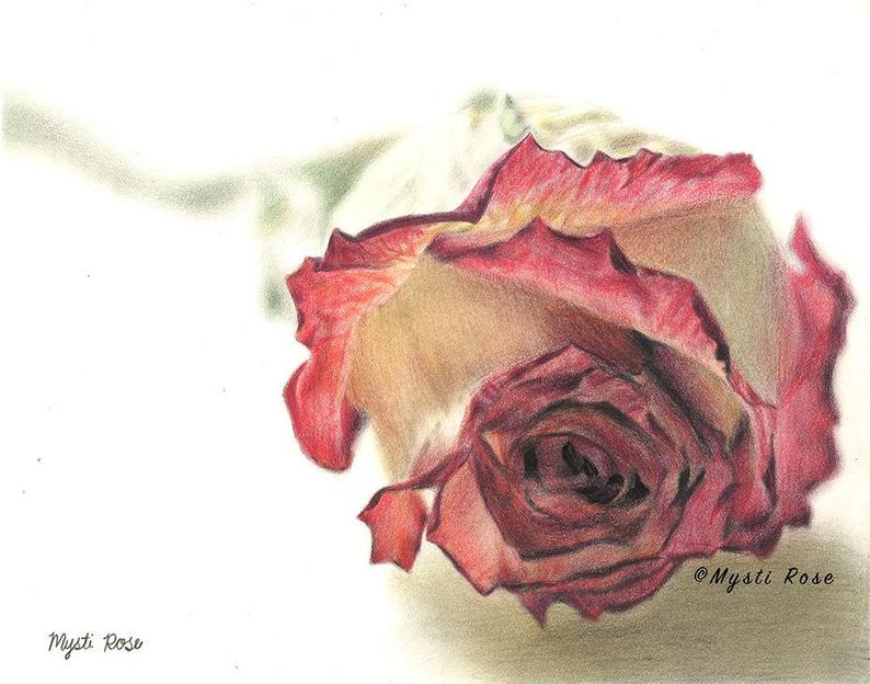 794x624 Realistic Rose Colored Pencil Drawing Print Wall Art Etsy - Rose Color Pencil Drawing