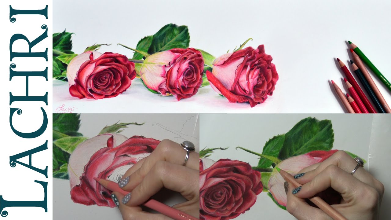 1280x720 Tips On How To Draw A Rose In Colored Pencil W Lachri - Rose Color Pencil Drawing
