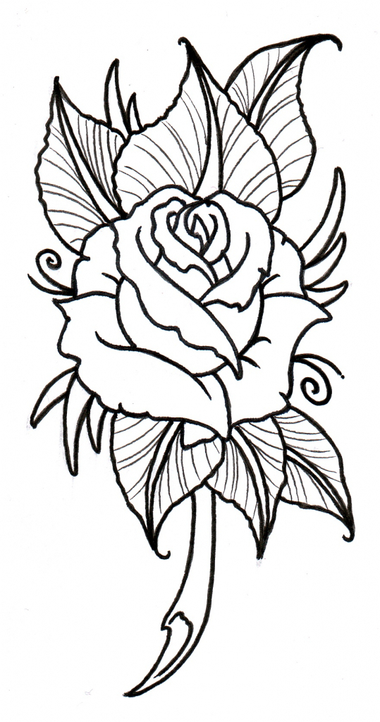 Rose Tattoo Drawing Tumblr at PaintingValley.com | Explore collection ...