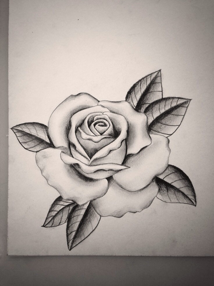 Rose Design Drawing at PaintingValley.com | Explore collection of Rose ...