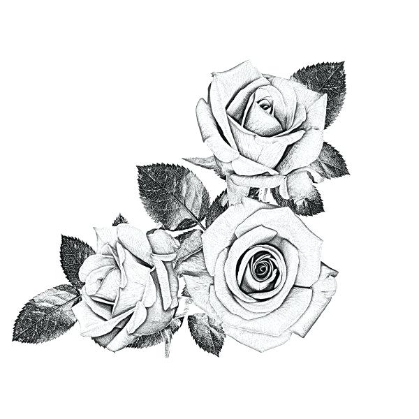 600x600 Roses Design Black Rose Designs Rose Black And White Sketch - Rose Design Drawing