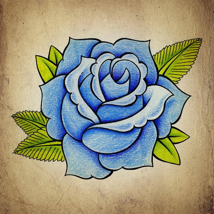 900x900 Blue Rose Drawing - Rose Drawing