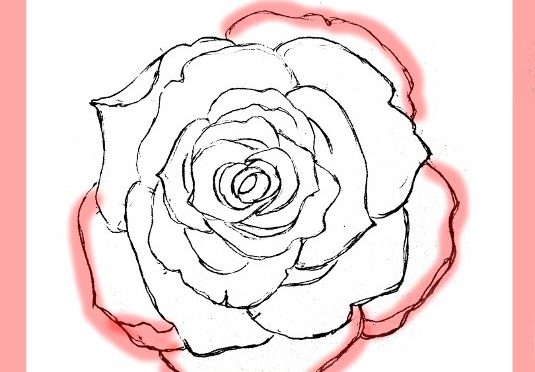 535x372 How To Draw Roses - Rose Drawing