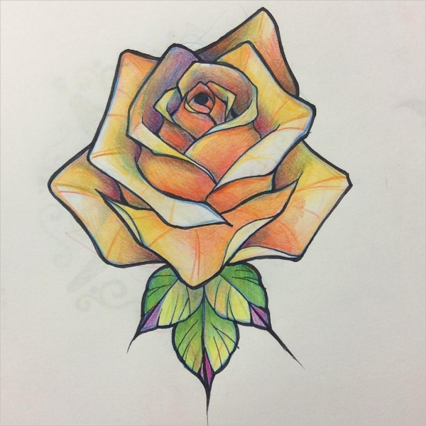 600x600 Rose Drawings - Rose Drawing