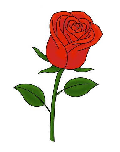 383x484 Easy Ways To Draw A Rose - Rose Drawing