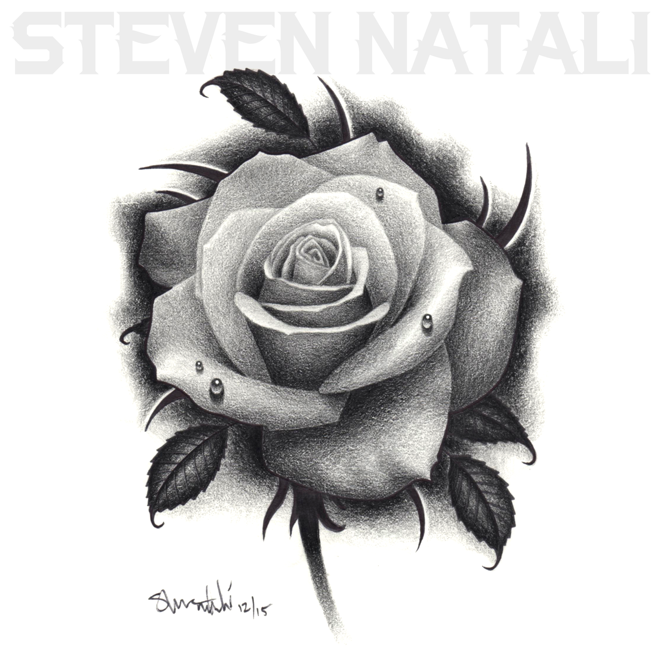 2252x2252 Black Colored Pencil Rose Drawing - Rose Drawing