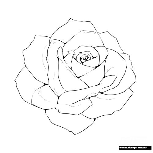 500x500 Line Drawing Rose Free Download Clip Art - Rose Drawing Clip Art