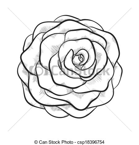 450x470 monochrome rose clipart - Rose Drawing Clip Art