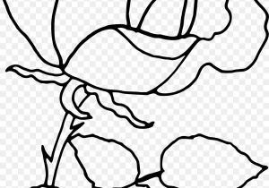 300x210 Part Of Rose Flower Sketch Diagram Image Detail For Sunflower - Rose Drawing Clip Art