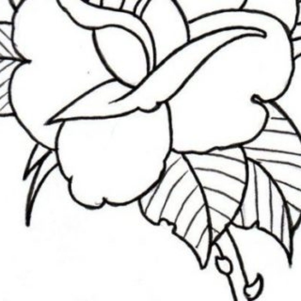 1024x1024 Traditional Rose Outline Camera Clipart House Clipart Online - Rose Drawing Clip Art