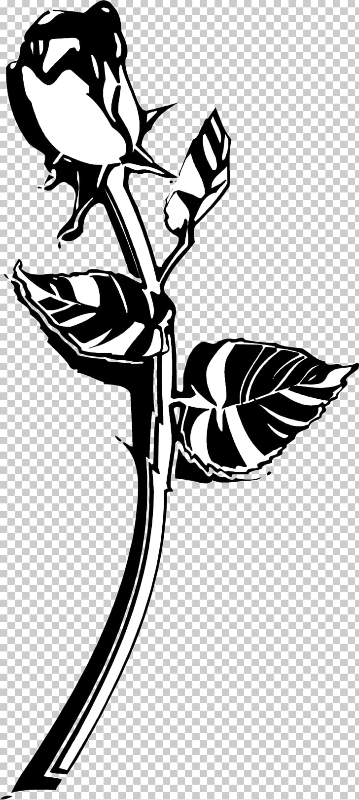 728x1621 Black Rose Drawing Rose Tattoo Png Clipart Free Cliparts Uihere - Rose Drawing Clip Art