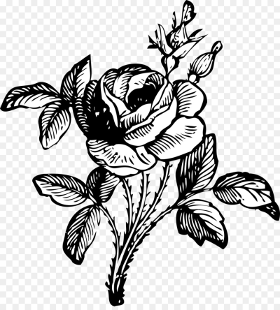 400x444 Download Free Png Rose Flower Drawing Clip Art Black And White - Rose Drawing Clip Art