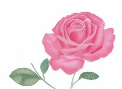400x292 How To Color In A Rose Step - Rose Drawing Color