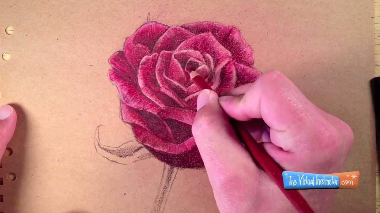 1280x720 How To Draw A Rose With Colored Pencils - Rose Drawing Color