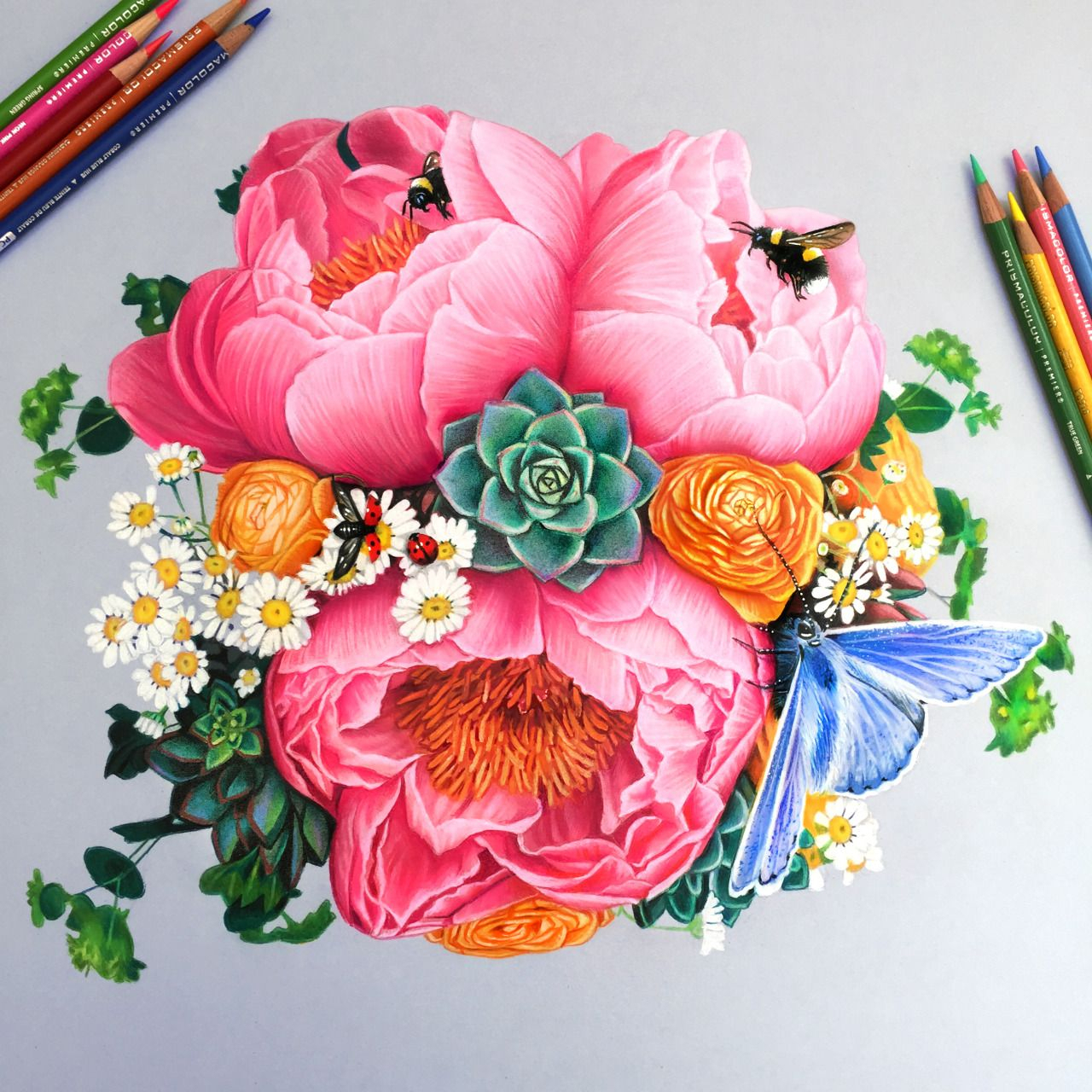 1280x1280 Flower Drawings In Color - Rose Drawing Color