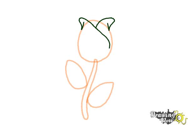 600x400 How To Draw A Rose Easy - Rose Drawing Easy