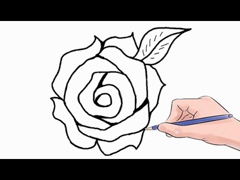 480x360 How To Draw A Rose Easy Step - Rose Drawing Easy