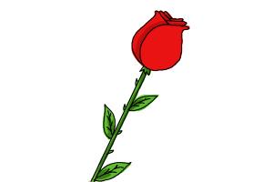 300x200 How To Draw A Rose For Kids - Rose Drawing Easy