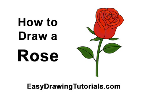 Rose Drawing Easy at PaintingValley.com | Explore collection of Rose ...