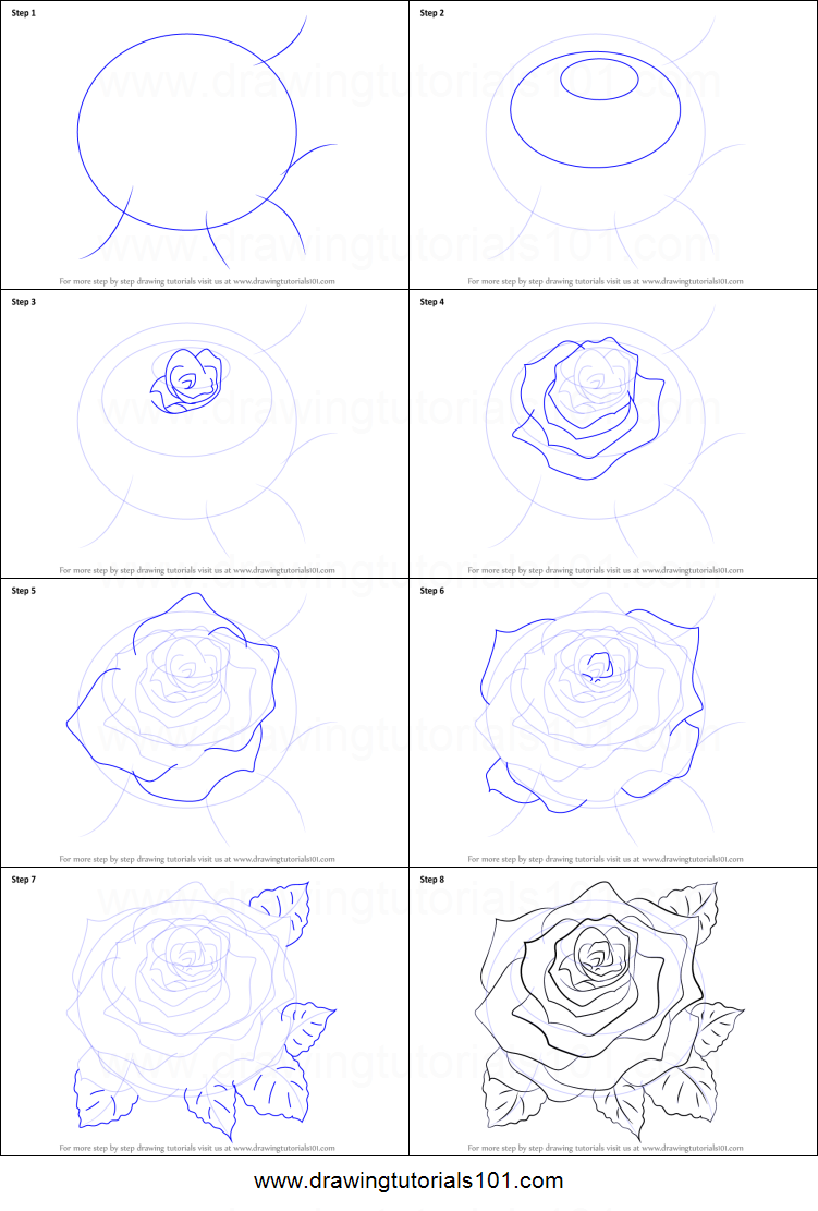 751x1111 How To Draw A Rose Printable Step - Rose Drawing Easy Step By Step