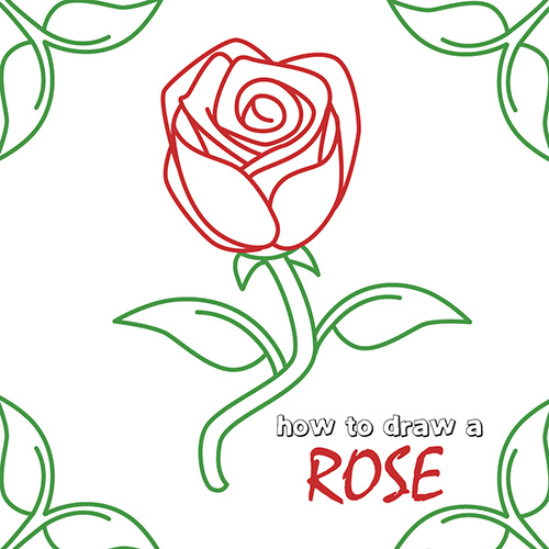 500x500 How To Draw How To Draw A Rose Step - Rose Drawing Easy Step By Step