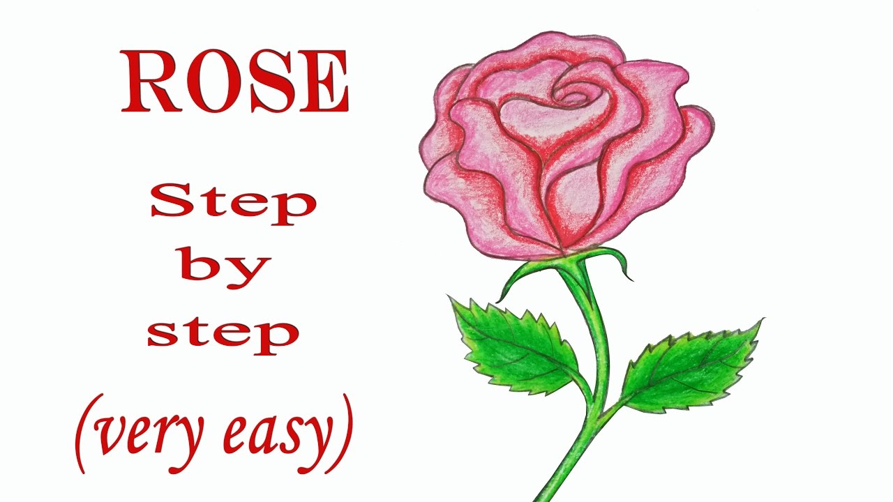 1280x720 How To Draw Rose Step - Rose Drawing Easy Step By Step