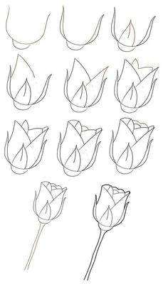 236x400 Rose Drawing Easy Video - Rose Drawing Easy Step By Step