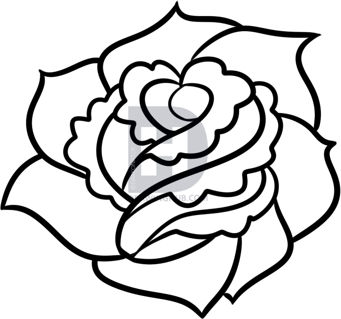 679x635 How To Draw A Rose For Beginners, Step - Rose Drawing For Beginners