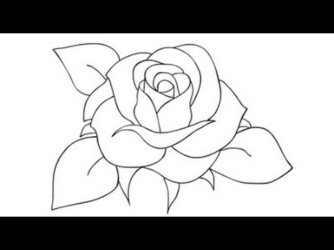 480x360 How To Draw A Rose Step - Rose Drawing For Beginners