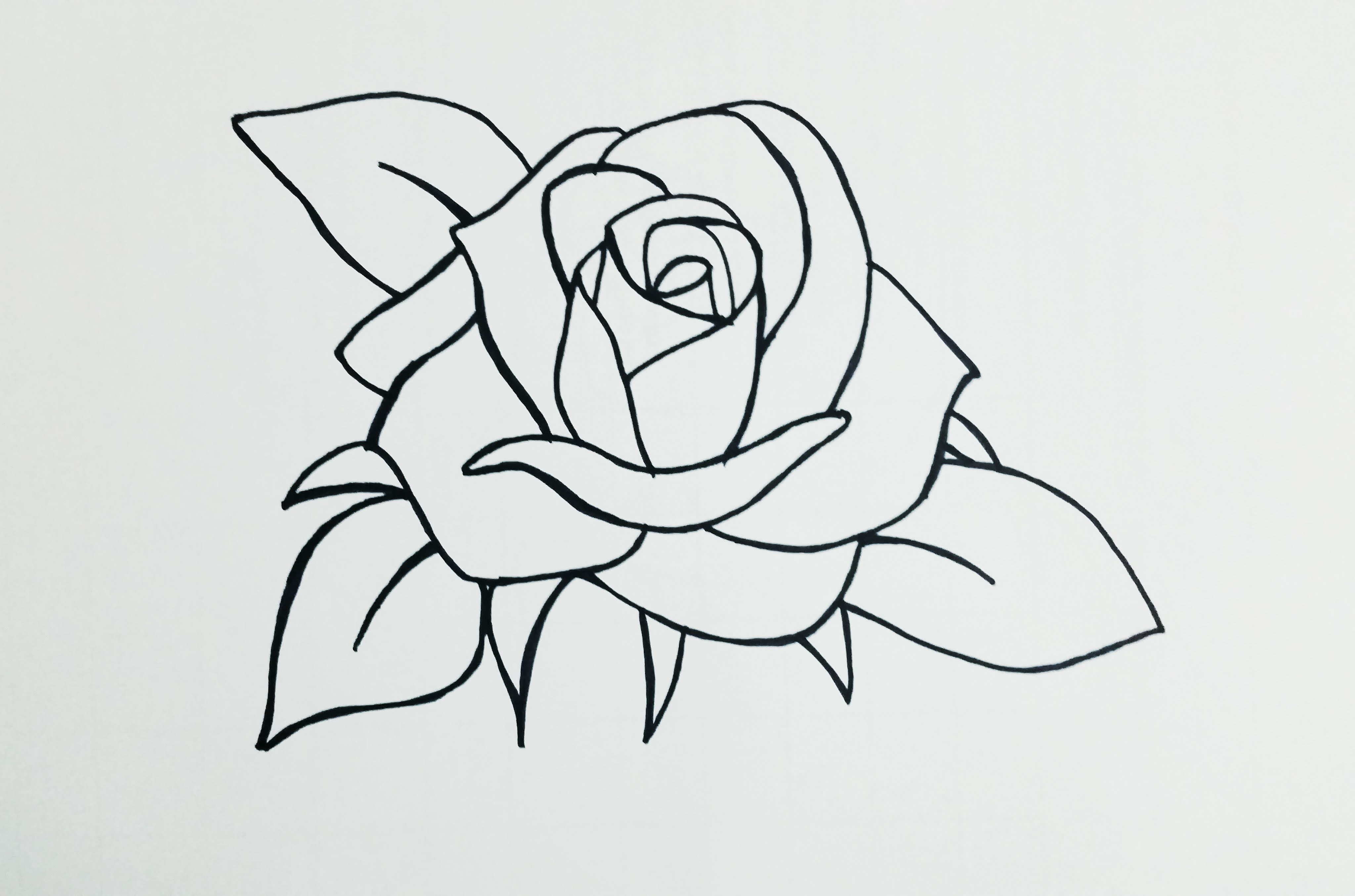 Easy Beginner Rose Easy Beginner Flower Sketch canvasdepot