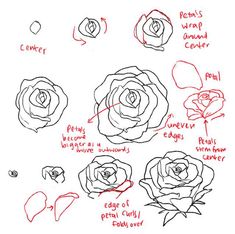 235x234 How To Draw A Classic Tattoo Style Rose In How - Rose Drawing For Beginners