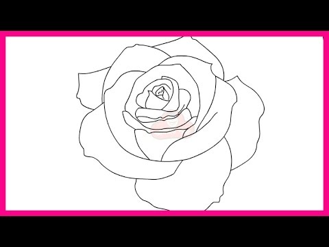 480x360 How To Draw A Rose Step - Rose Drawing For Beginners