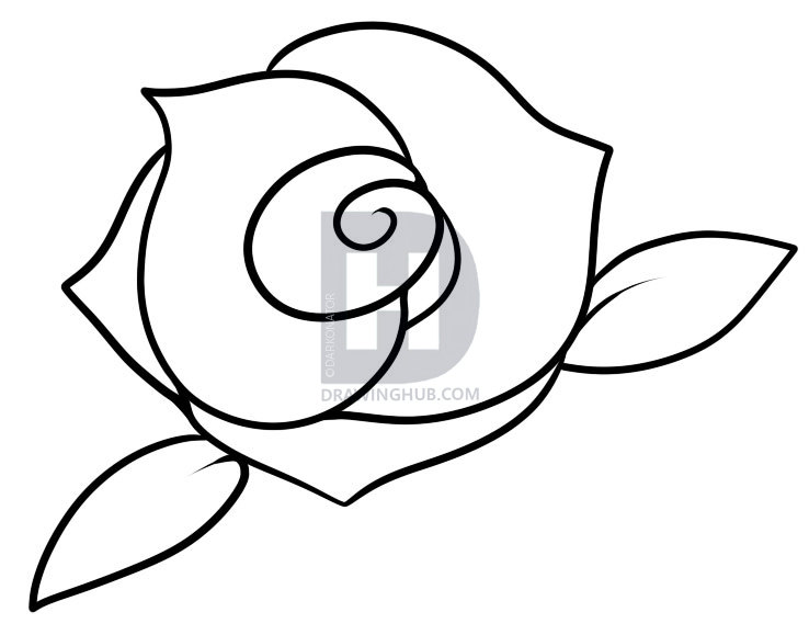 738x579 How To Draw A Rose For Kids, Step - Rose Drawing For Kids