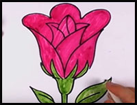 200x154 How To Draw Roses With Easy Step - Rose Drawing For Kids