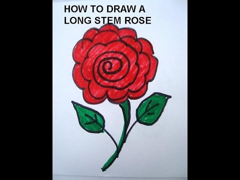 480x360 Learn To Draw For Kids, Draw A Long Stem Rose Simple Drawing - Rose Drawing For Kids